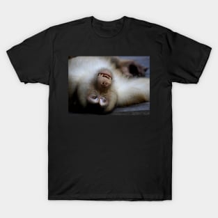 Not A Care In The World: Pig-tailed Macaque Portrait, Borneo T-Shirt